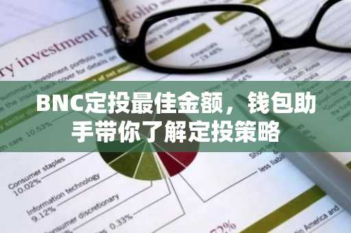 BNC定投最佳金额，钱包助手带你了解定投策略