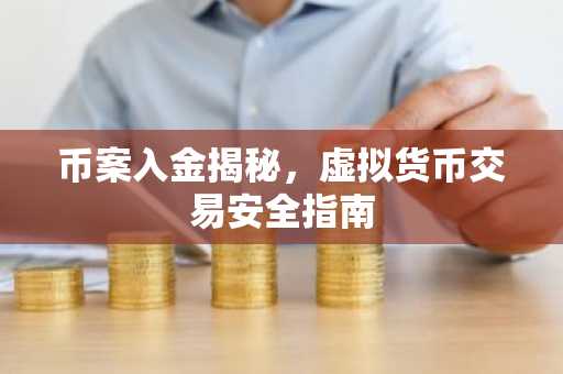 币案入金揭秘，虚拟货币交易安全指南