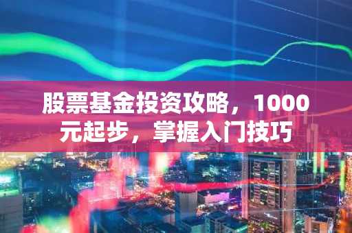 股票基金投资攻略，1000元起步，掌握入门技巧