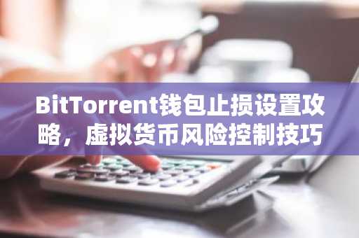 BitTorrent钱包止损设置攻略，虚拟货币风险控制技巧