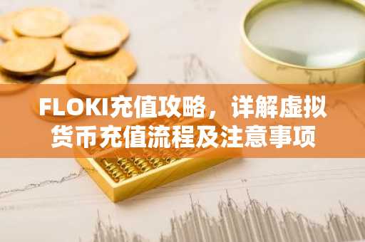FLOKI充值攻略,详解虚拟货币充值流程及注意事项