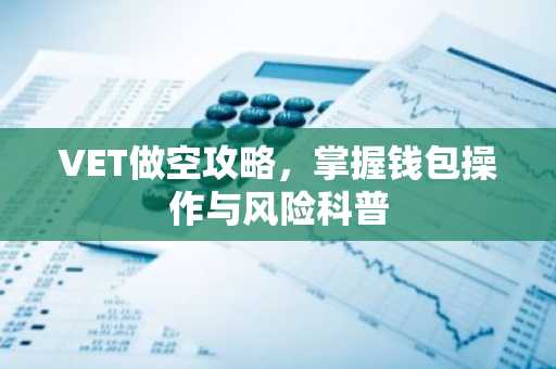 VET做空攻略，掌握钱包操作与风险科普