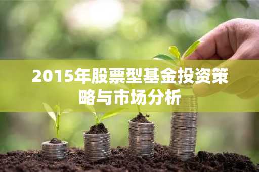 2015年股票型基金投资策略与市场分析
