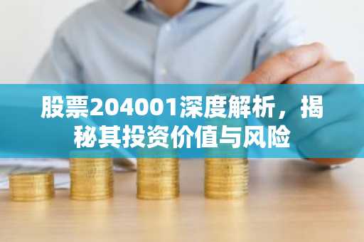 股票204001深度解析，揭秘其投资价值与风险