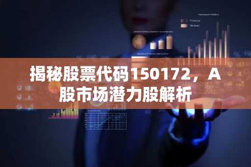 揭秘股票代码150172，A股市场潜力股解析