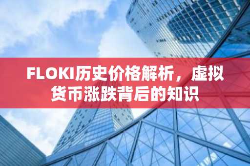 FLOKI历史价格解析,虚拟货币涨跌背后的知识