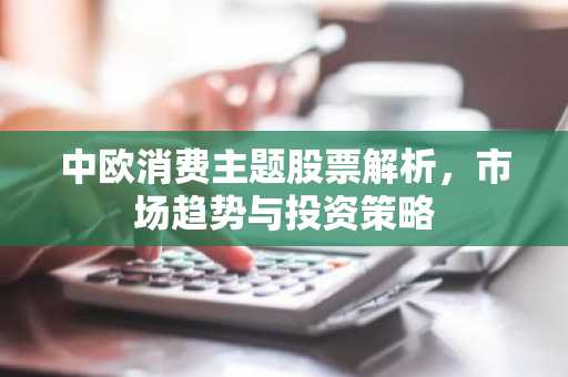 中欧消费主题股票解析，市场趋势与投资策略