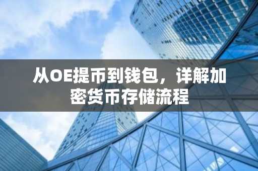 从OE提币到钱包，详解加密货币存储流程