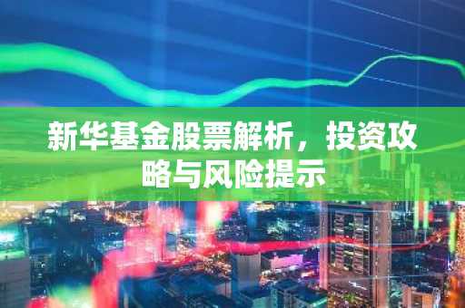 新华基金股票解析，投资攻略与风险提示