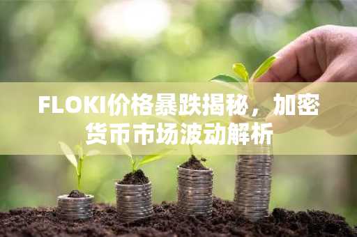 FLOKI价格暴跌揭秘,加密货币市场波动解析