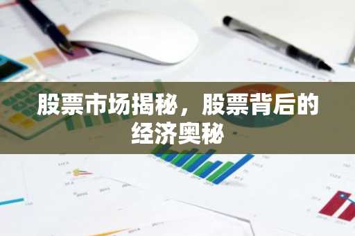 股票市场揭秘,股票背后的经济奥秘