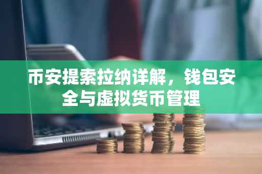 币安提索拉纳详解，钱包安全与虚拟货币管理