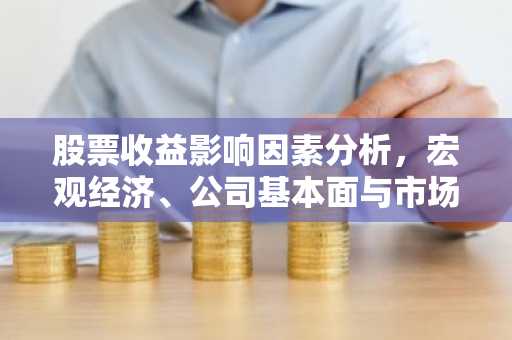 股票收益影响因素分析,宏观经济、公司基本面与市场情绪