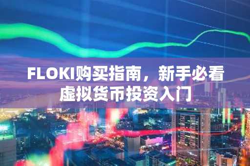 FLOKI购买指南,新手必看虚拟货币投资入门
