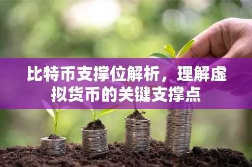 比特币支撑位解析，理解虚拟货币的关键支撑点