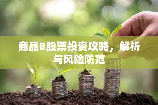 商品B股票投资攻略，解析与风险防范