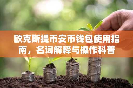 欧克斯提币安币钱包使用指南，名词解释与操作科普
