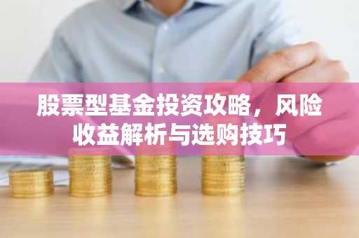 股票型基金投资攻略，风险收益解析与选购技巧