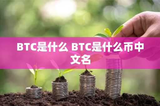 BTC是什么 BTC是什么币中文名