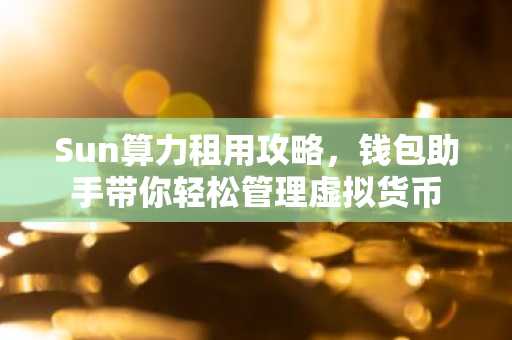 Sun算力租用攻略，钱包助手带你轻松管理虚拟货币