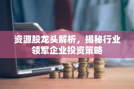 资源股龙头解析,揭秘行业领军企业投资策略