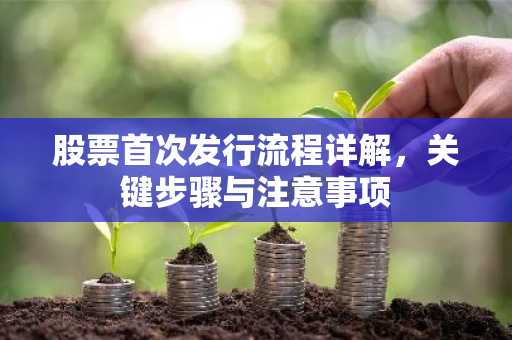 股票首次发行流程详解，关键步骤与注意事项