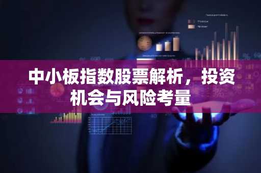 中小板指数股票解析，投资机会与风险考量
