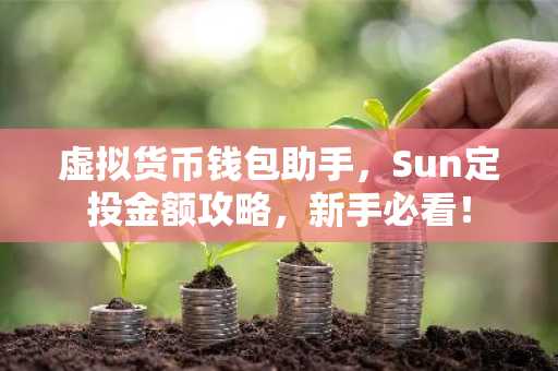 虚拟货币钱包助手，Sun定投金额攻略，新手必看！