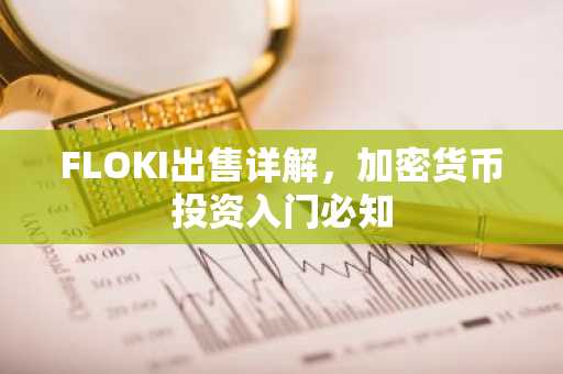 FLOKI出售详解,加密货币投资入门必知