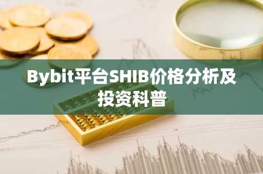 Bybit平台SHIB价格分析及投资科普