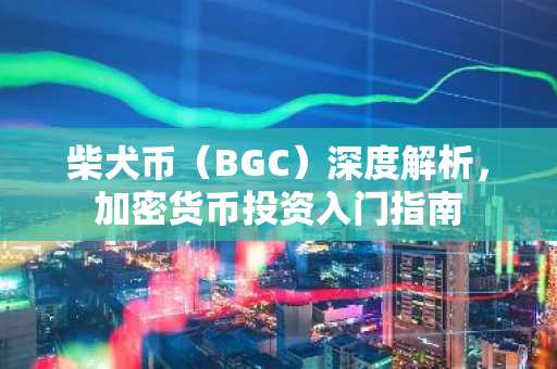 柴犬币（BGC）深度解析，加密货币投资入门指南