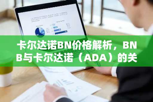 卡尔达诺BN价格解析，BNB与卡尔达诺（ADA）的关联解读