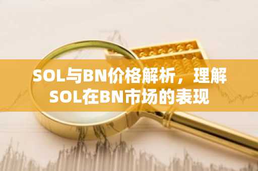SOL与BN价格解析，理解SOL在BN市场的表现