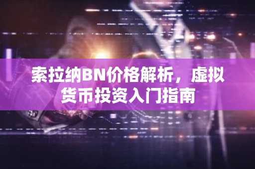 索拉纳BN价格解析，虚拟货币投资入门指南