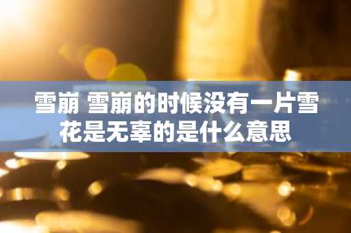 雪崩 雪崩的时候没有一片雪花是无辜的是什么意思
