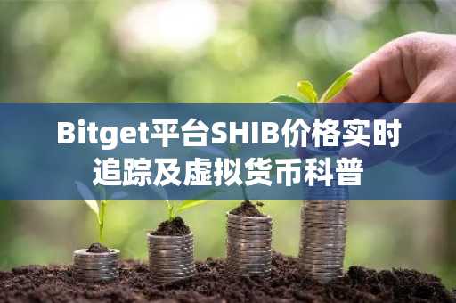 Bitget平台SHIB价格实时追踪及虚拟货币科普