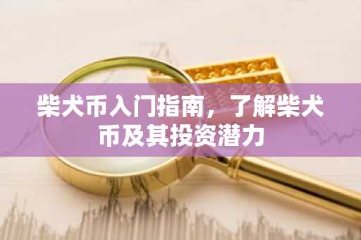 柴犬币入门指南，了解柴犬币及其投资潜力