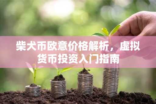 柴犬币欧意价格解析，虚拟货币投资入门指南