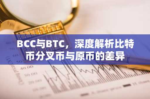 BCC与BTC,深度解析比特币分叉币与原币的差异