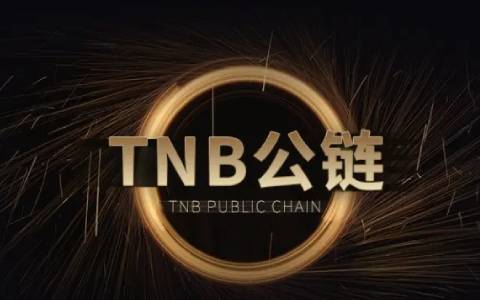 2011比特币中国价格_2012年比特币多少钱一个