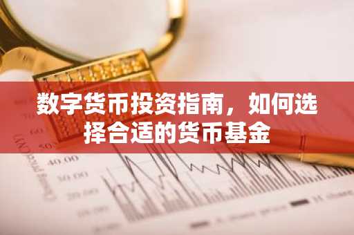 数字货币投资指南,如何选择合适的货币基金