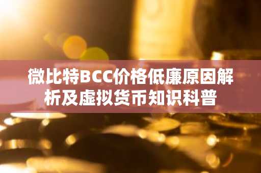 微比特BCC价格低廉原因解析及虚拟货币知识科普