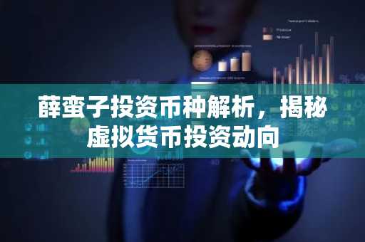 薛蛮子投资币种解析，揭秘虚拟货币投资动向