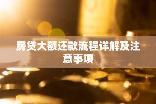 房贷大额还款流程详解及注意事项