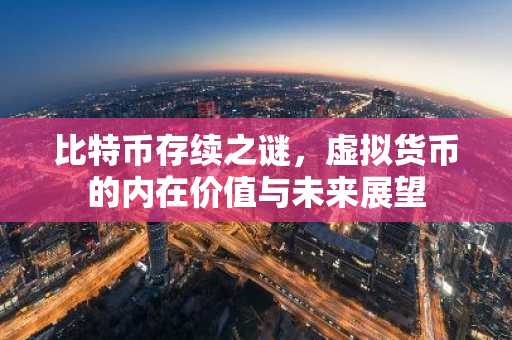 比特币存续之谜,虚拟货币的内在价值与未来展望