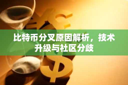 比特币分叉原因解析，技术升级与社区分歧