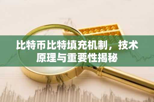 比特币比特填充机制,技术原理与重要性揭秘