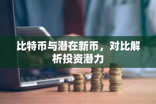 比特币与潜在新币，对比解析投资潜力