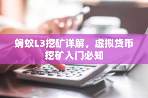 蚂蚁L3挖矿详解,虚拟货币挖矿入门必知