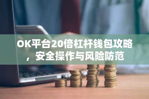 OK平台20倍杠杆钱包攻略,安全操作与风险防范